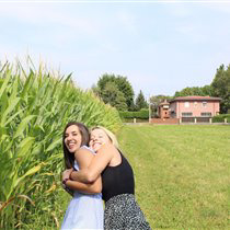 chiaratodarello