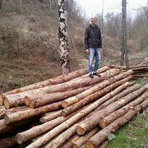 ilcantore