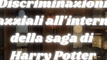 Discriminazioni razziali all'interno della saga di Harry Potter