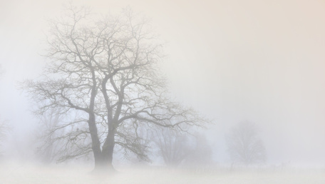 Donne in noir - #1: Private eyes and a gun