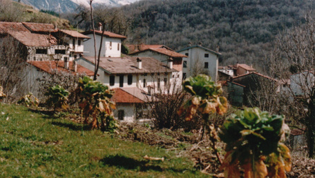 I fiori del cielo.