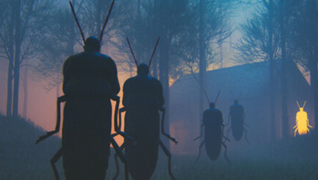 I miei sogni sembrano film