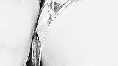 La figlia in prima linea