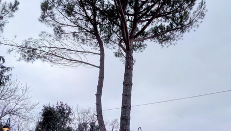 L'amore al tempo del Covid