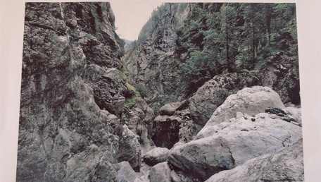 L’avventura di Rio degli Uccelli