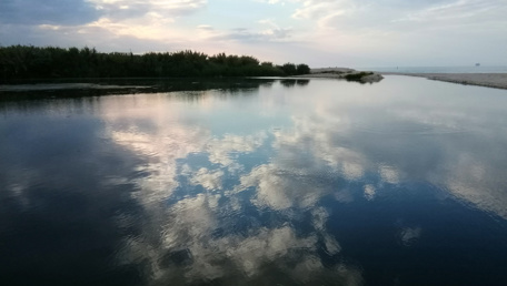 L'ESILIO