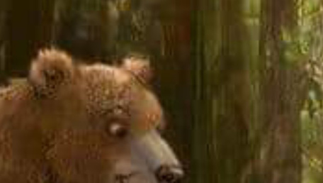 L'orso Romeo e il coniglietto Etciù"