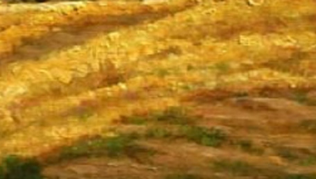 L'orto di zucche