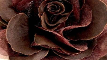 Rosa d'estate