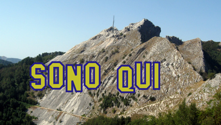 SONO QUI