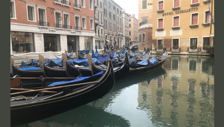The Pirate of Venice