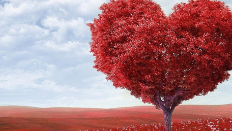 The red thread of destiny