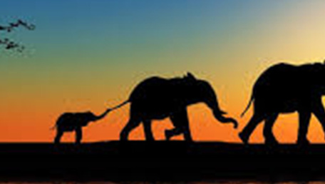 VI RACCONTO LA MIA AFRICA 