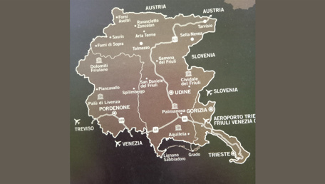 Vita ridata